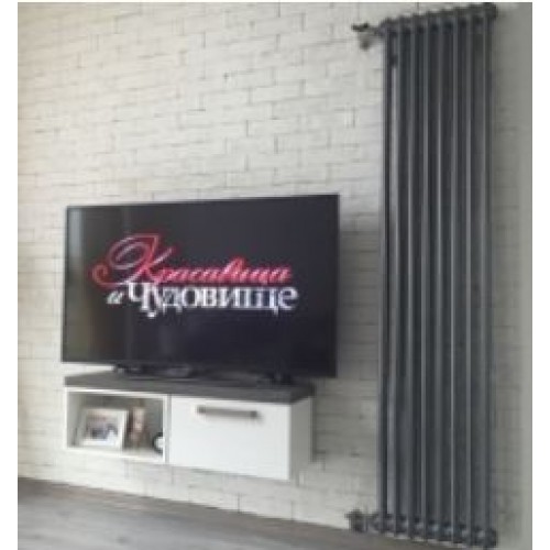 Радиатор вертикальный Arbonia 2180 с боковой подводкой N12 и N34