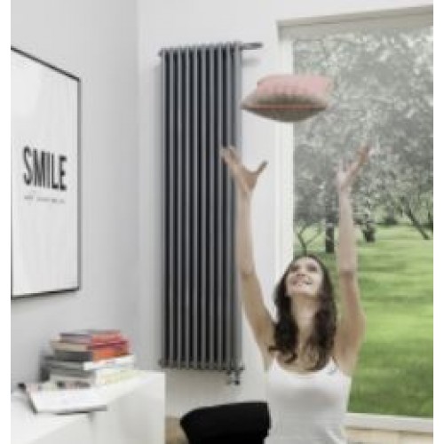 Радиаторы вертикальные Arbonia RAL 7016 с нижним подключением