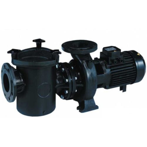 Насосы в корпусе из чугуна, серия "Kriptоn KRF"