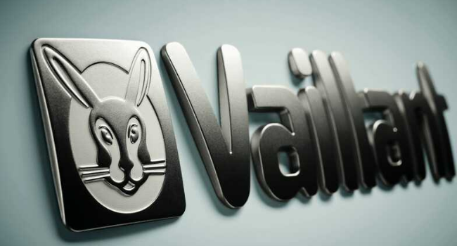 VAILLANT